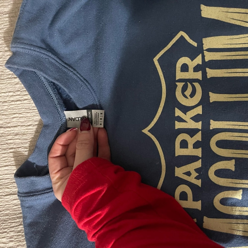 Gildan Blue Sweatshirt with Gold Graphic